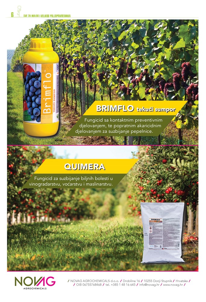 PRILOG GLASA ISTRE I AM GRUPE